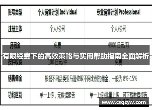 有限经费下的高效策略与实用帮助指南全面解析
