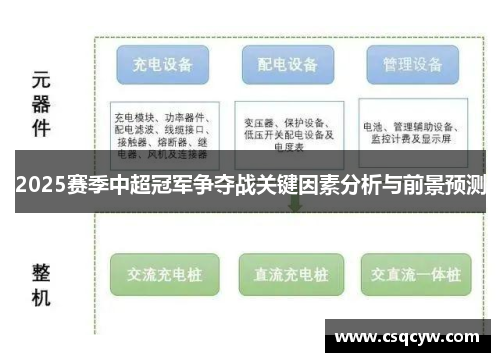 2025赛季中超冠军争夺战关键因素分析与前景预测